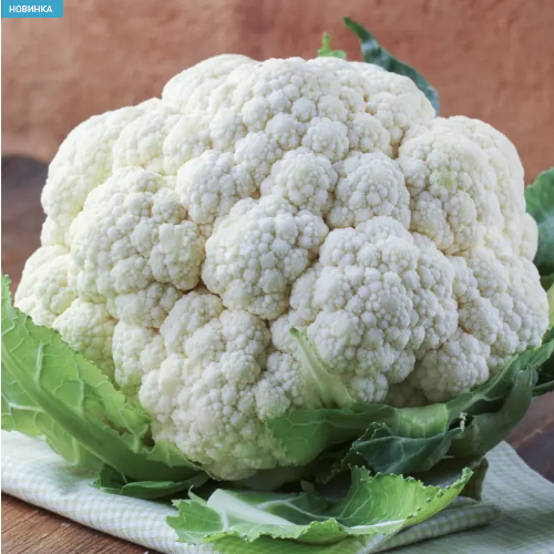 Капуста цвітна Б'янка F1 20шт Професійне насіння Житомир - фото 2