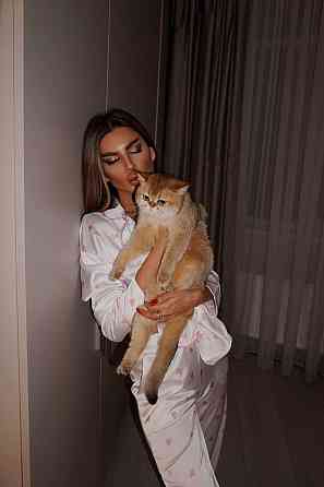 Женская пижама двойка с сердечками из шелка армани Белый 2, 52/54 Одесса