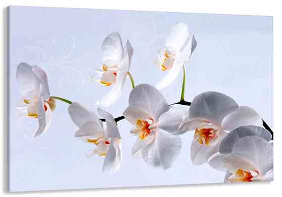 Картина холст в гостиную / спальню  Орхідея    MLP_162 90х180см Киев
