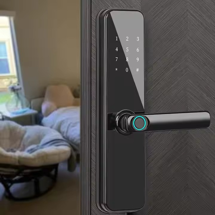 Смарт замок кодовий розумний дверний KHS-N8 з відбитком пальця і ключ-картою, чорний Кам'янець-Подільський - фото 7