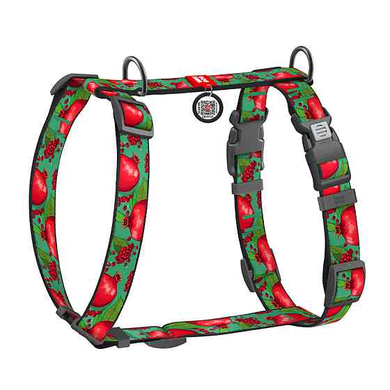 Шлей для собак анатомический H-образный WAUDOG Nylon с QR-паспортом, рисунок 