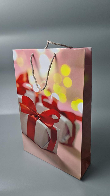 Великий паперовий пакет вертикальний 25/37/8 (артBV-244) (12 шт.) Харків - фото 1