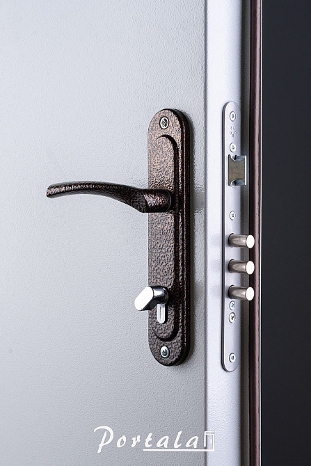 Двері технічні, ЕИ30, сіра шагрень,на трубі Київ - фото 3