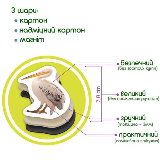 Дитячий набір магнітів Птахи фото Magdum ML4031-30 EN Вінниця