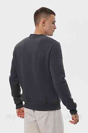 Свитшот мужской базовый утепленный RAY BASIC темно-серый (U0301M-Dark Grey) Киев