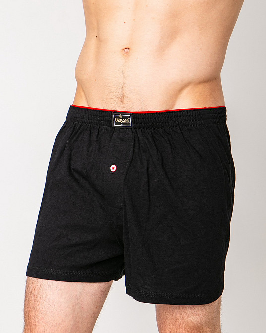 Сімейні чоловічі труси 100% бавовна Ozkan 0041-4 Київ - фото 1