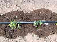 Слепая трубка для капельного полива 