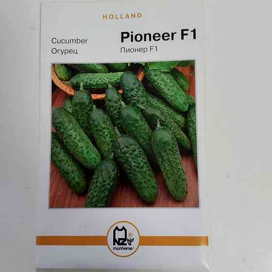 Огурец 