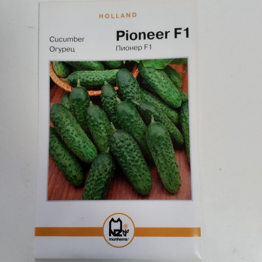 Огірок "Піонер F1" Голландія 5 гр Харків - фото 1