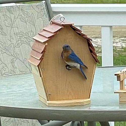 Скворечник садовый 