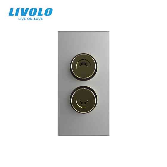 LIVOLO Аудіо розетка LIVOLO Banana Plug, сіра, для колонок / підсилювача, модуль 0.5 поста(VL-F Коломия