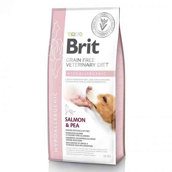 Сухий корм Brit GF VetDiet Dog Hypoallergenic для собак, при харчовій алергії, з лососем, горохом і гречкою, 12 кг Вінниця