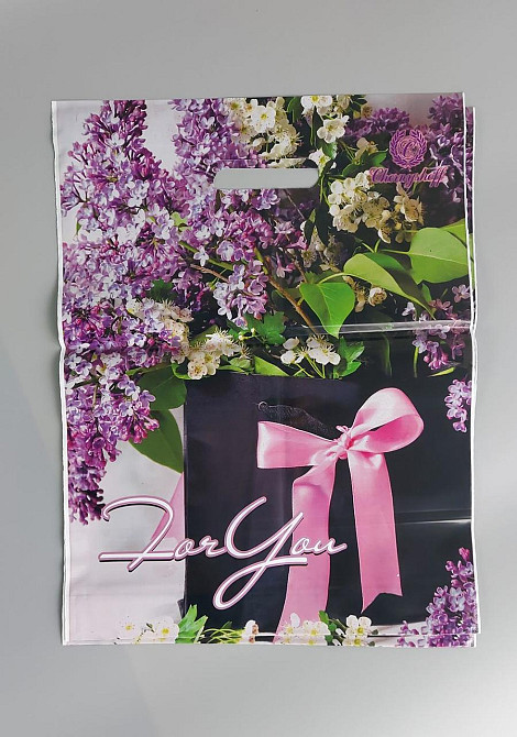 Пакеты с вырубной ручкой (29*37)