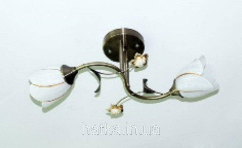 Люстра стельова Sirius B N1508/2 на 2 плафона Київ - фото 2