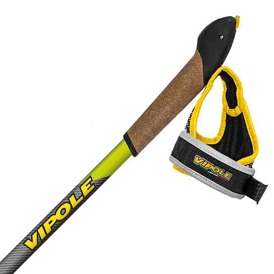 Палки для скандинавской ходьбы Vipole Instructor Vario QL Green DLX (S25 26) Вінниця