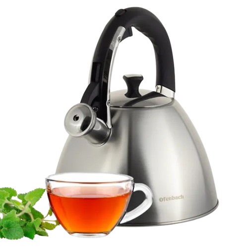 Чайник 3,2л нержавіюча сталь зі свистком з ручкою "soft-touch" 100307 Ofenbach Житомир