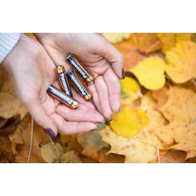 Батарейка Panasonic LR06 Alkaline Power * 2 (LR6REB/2BP) Винница