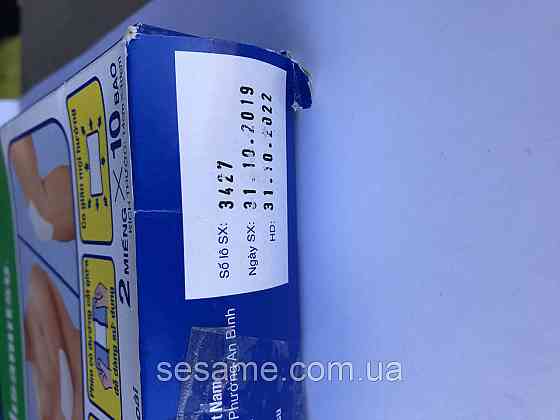 Знеболюючий пластир Салонсип Salonsip 10x12 см 2шт (В'єтнам) Харків