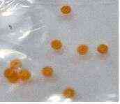 Манжети голки карбюратора (жовтий) МТ, УРАЛ, ІЧ (набір 10 шт.) I Мукачево