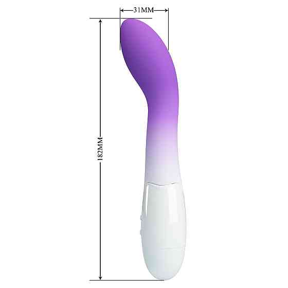 Вибратор PRETTY LOVE - Bishop, 30 vibration functions, ABS Silicone Sex Aura Киев