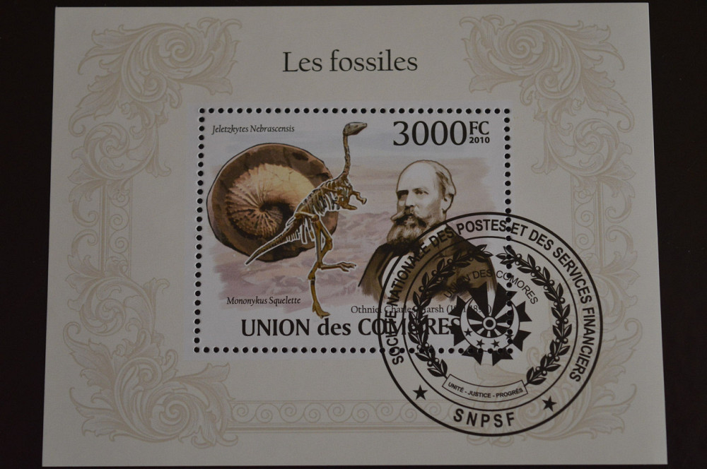 Комори. Фауна. Марки. Блок. 2010 рік (Т) Полтава - фото 1