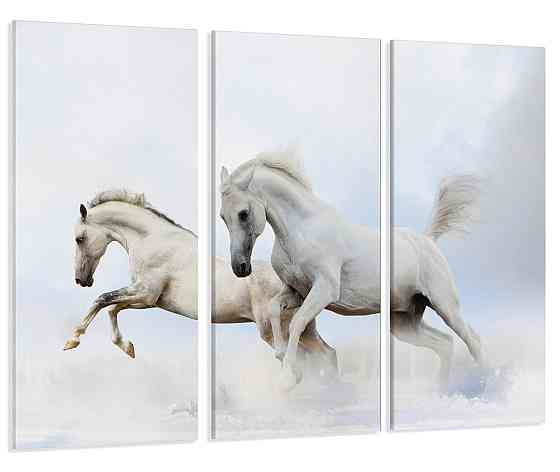 Модульна картина Білі Коні Art-129_XXL Київ