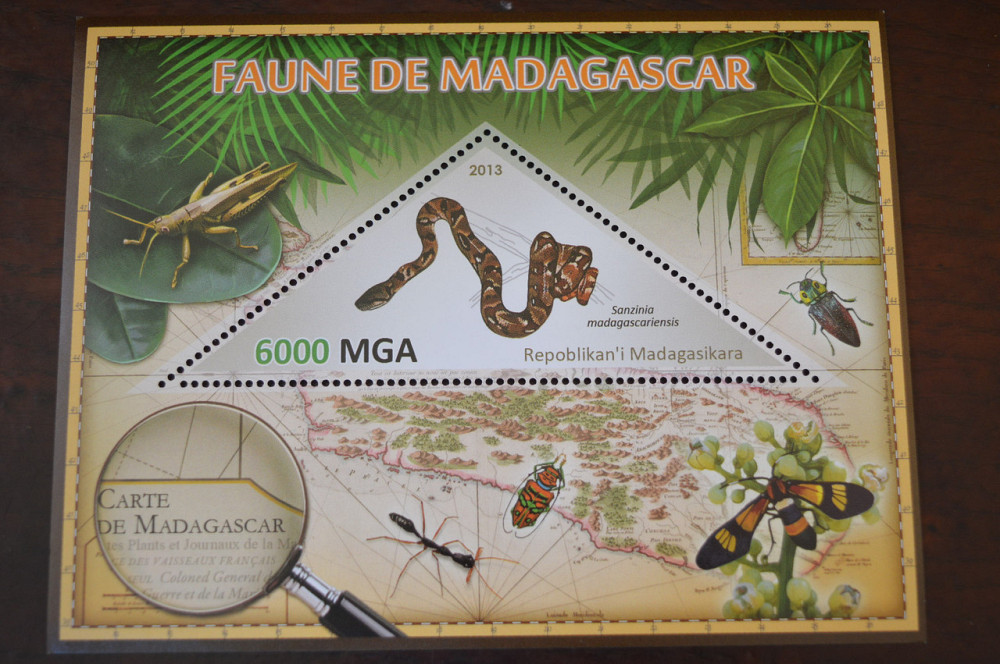 Мадагаскар. Фауна. Личности. Блок. 2014 р. (А-34) Полтава - фото 1