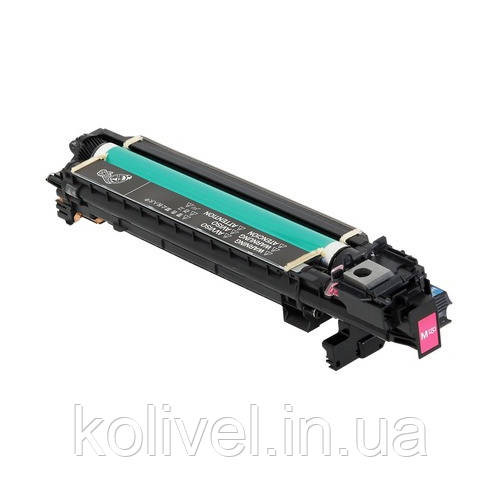Фотоциліндр IUP24M A95X0CD пурпурний (magenta) Konica Minolta bizhub C3351 / C3851 Киев - изображение 1