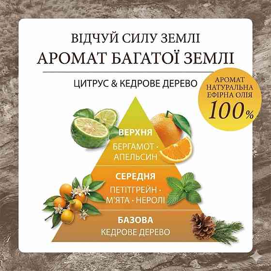 Шампунь для оздоровления волос и кожи головы Land Essence Cocopalm 450 мл Киев