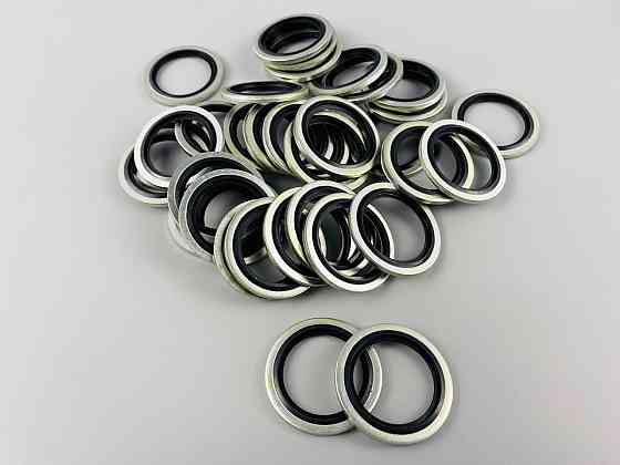 Набір шайб із гумовими кільцями (100 шт.) для будь-якої гідравліки. Мукачево