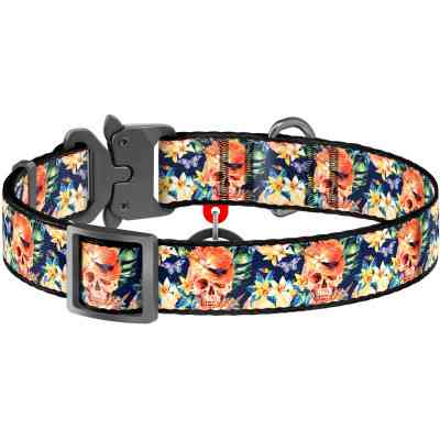 Ошейник для животных WAUDOG Nylon с QR паспортом "Гламурные черепа" металлическая пряжка-фастекс XXL (4535-0052) Винница