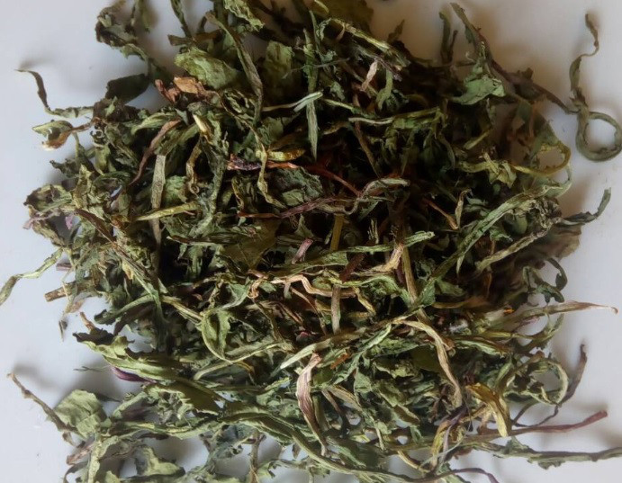 Одуванчик (лист), 500г. MasterSEM Киев - изображение 1