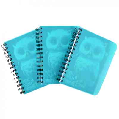 Блокнот Yes В6 Owl 144 листа пластиковая обложка (681993) Винница