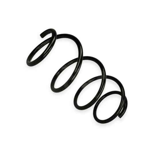 Пружина Renault Clio 1.5dCi, 2.0 (05-10) передняя Мукачево