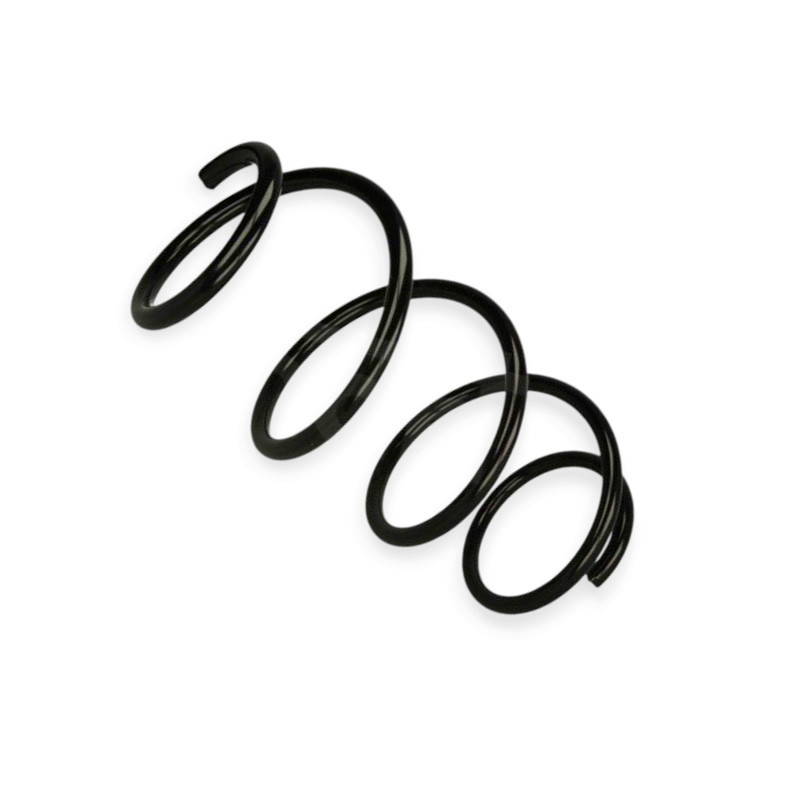 Пружина Renault Clio 1.5dCi, 2.0 (05-10) передняя Мукачево - изображение 1