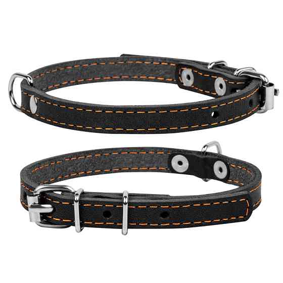 Нашийник "CoLLaR" одинарний (ширина 20мм, довжина 32-40см) чорний Коломыя