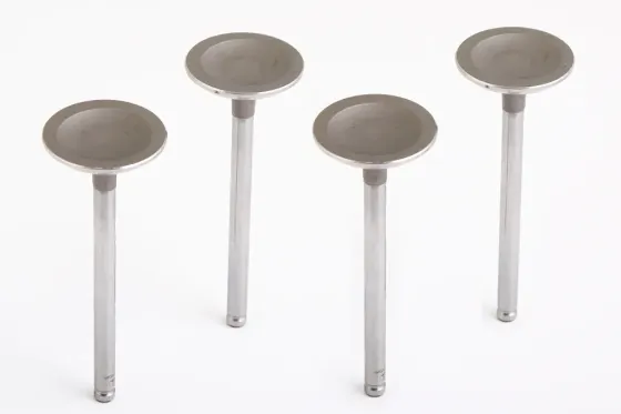 Клапана Lanos 1.5 AMP впускные (4 шт.) Винница