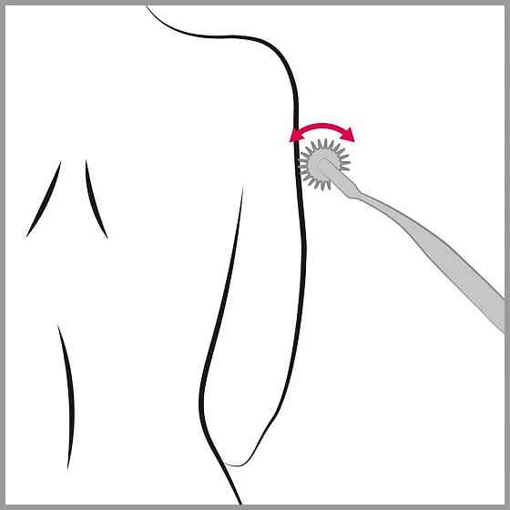 Колесо Вартенберга голчасте Pin Wheel Sex Aura Київ