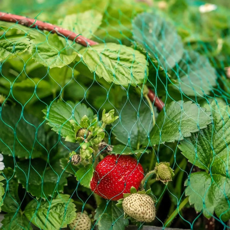 Сетка 20*20  ячейка 5м*5м для защиты от птиц зелёная Днепр - изображение 2