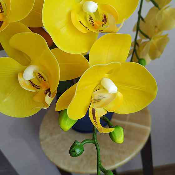 Штучна латексна орхідея VIP в синьому керамічному кашпо на три гілки жовта Дніпро