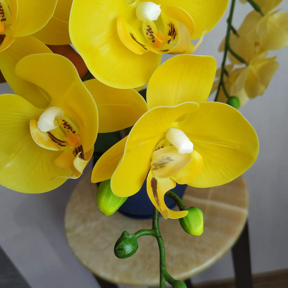 Штучна латексна орхідея VIP в синьому керамічному кашпо на три гілки жовта Дніпро - фото 6