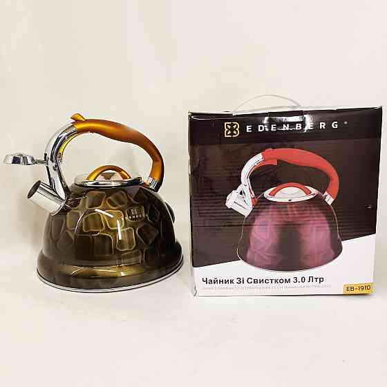 Чайник нержавейка со свистком бытовой, Качественный чайник для газовой плиты газовый 3 литра IE-49 Львов