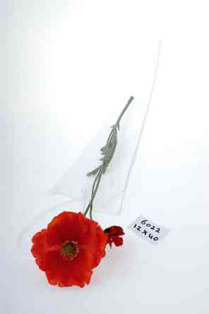 Дорожня ваза Рівне