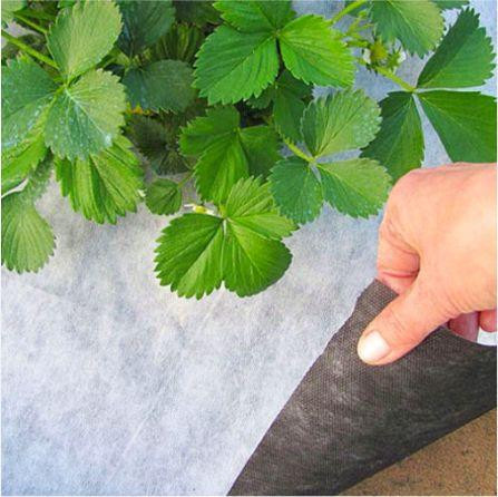 Агроволокно 50 г/м² 1,60 х 100 м чорно-біле "Shadow" Дніпро - фото 5