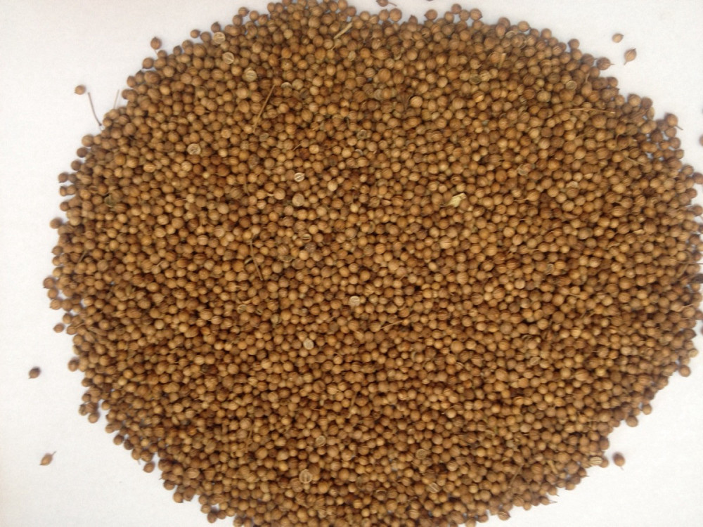 Кориандр (семена целие), 100г. MasterSEM Киев - изображение 1