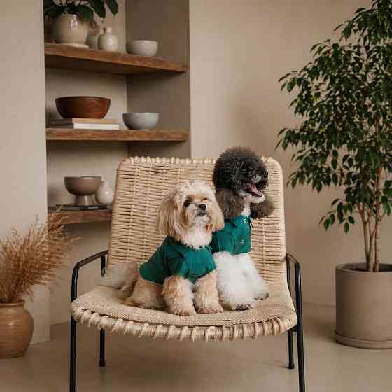 Сорочка Pet Fashion Seaman для собак XS2 Київ