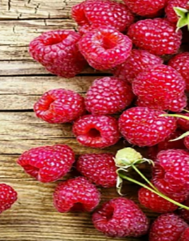 Алмазна картина Соковита малина Strateg розміром 40х50 см кр (JSFH85871) без підрамника, шт Київ - фото 1