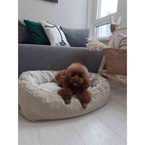 XL (100см) Київ