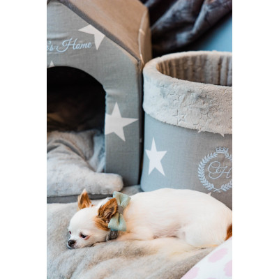 Ошейник для животных Chloe's Home Багамские острова синий S (CLH2209) Винница - изображение 2