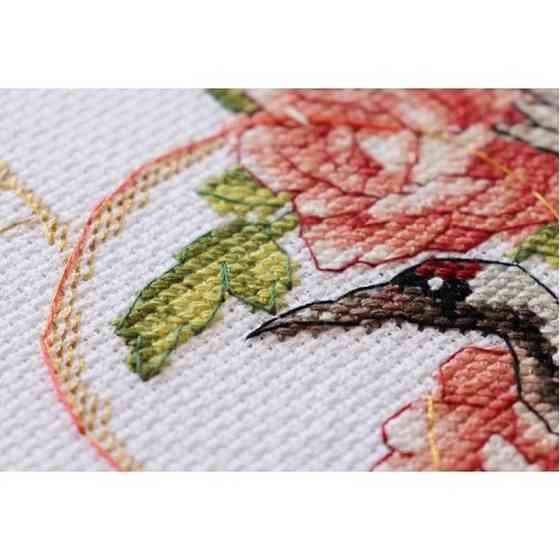 Набор для вышивания крестиком «На крыльях к мечте» AH-225 с пяльцами Винница